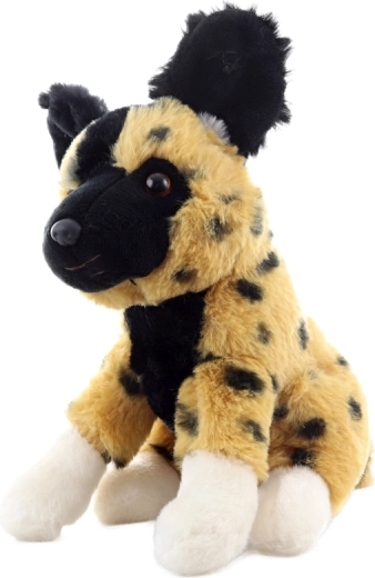 Compact size for home and travel