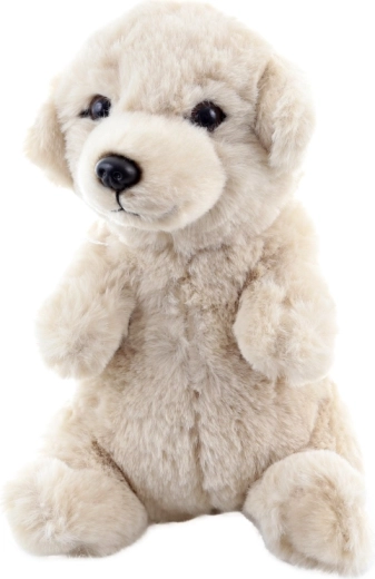 Veilig vanaf de geboorte