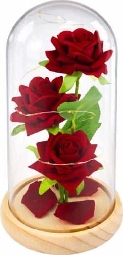 Cloche en verre élégante