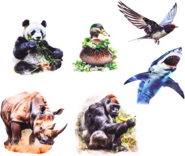 Transparante achtergrond voor een strakke look