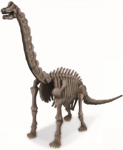 Buildable Brachiosaurus model