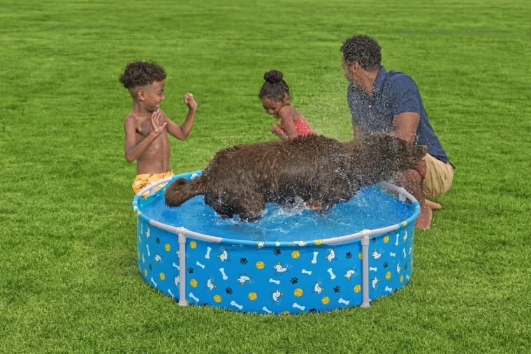 Design amusant pour les animaux et les enfants