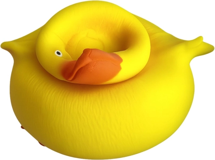 Vibrant color and playful design