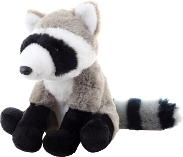 Realistic raccoon details