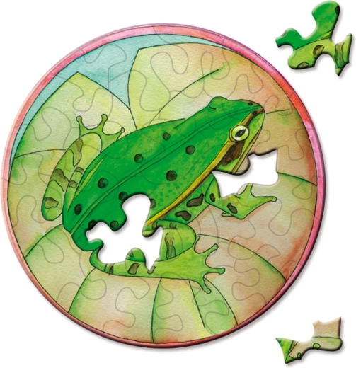 CURIOSI round mini puzzle Picoli Tree Frog 33 pieces