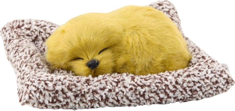 Realistic sleep on a cozy cushion