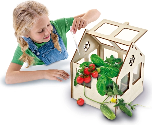 Wooden mini greenhouse without tools