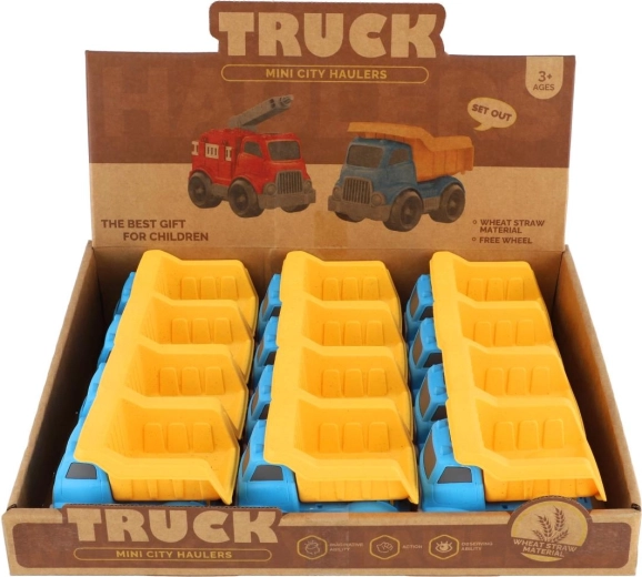Emballage pratique : 12 pcs en présentoir