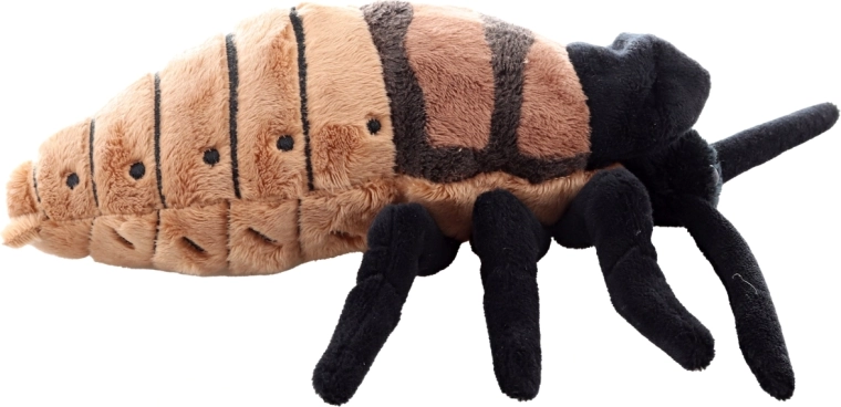 Realistisch design met gedetailleerde afwerking