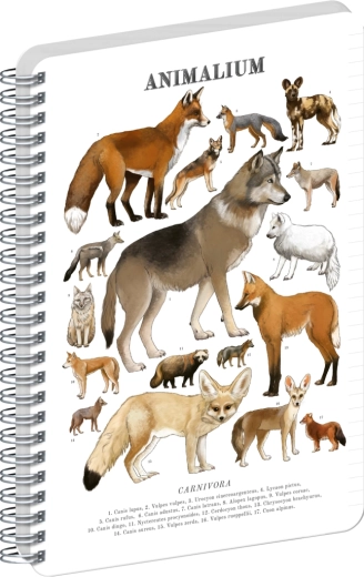 Bloc-notes spiralé Notique Animalium – Canidés, ligné, A5