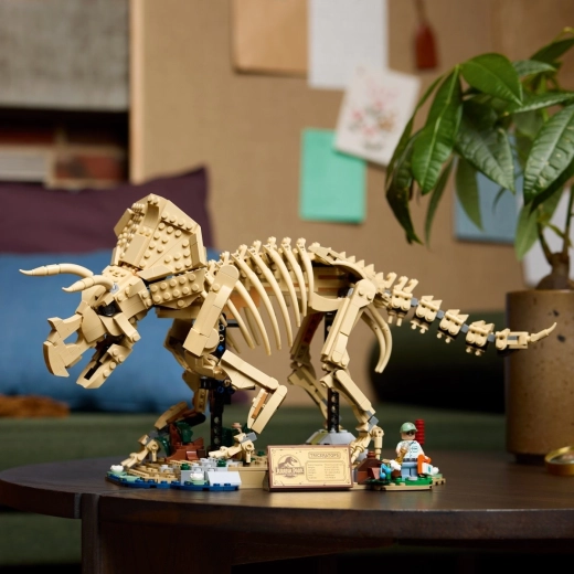 Socle, plaque et accessoires de collection de Jurassic Park