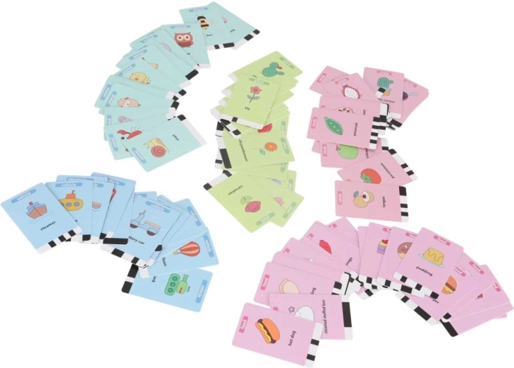 Riche ensemble de 100 cartes éducatives