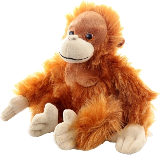 Cute details and quality workmanship