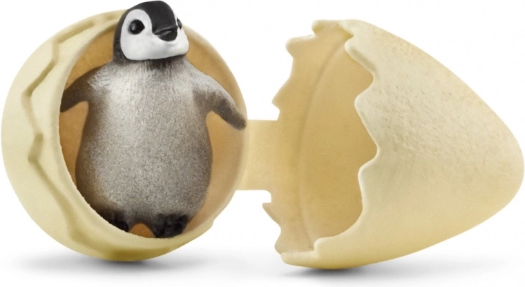 Hatching penguin chick