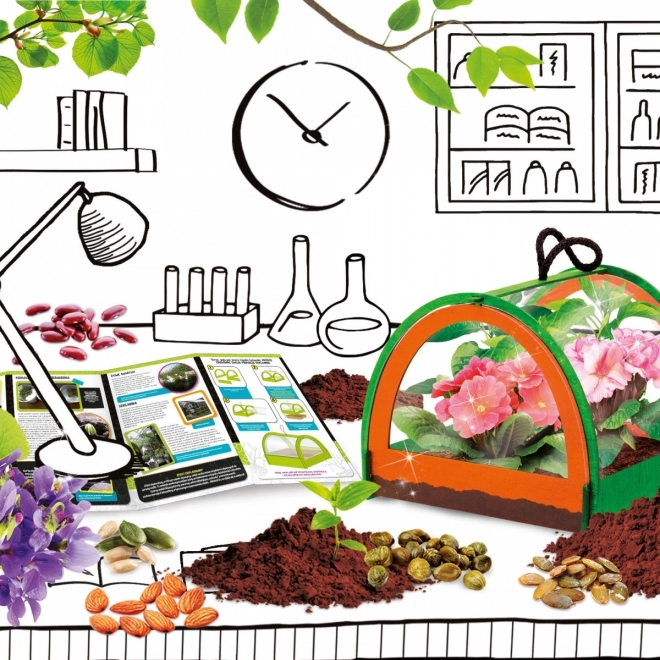 Construisez votre propre mini-serre