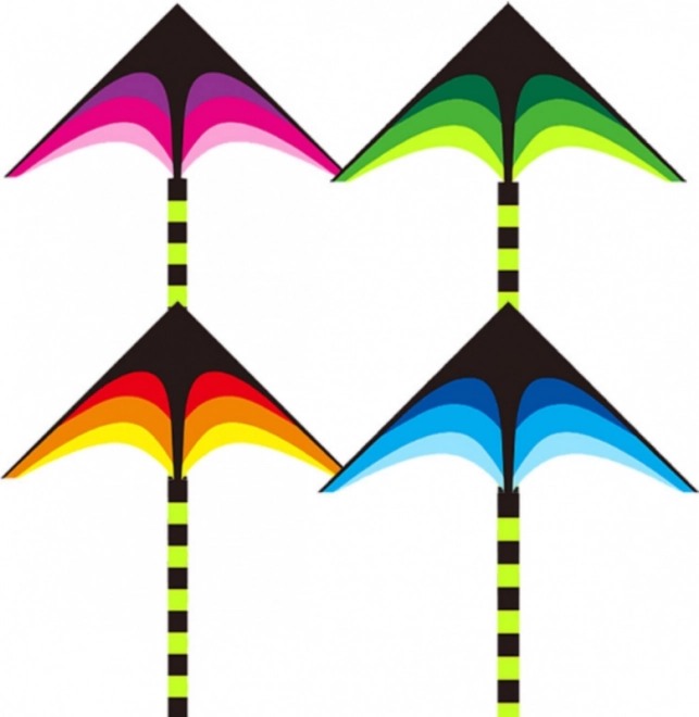 Cerf-volant Flèche 160 cm