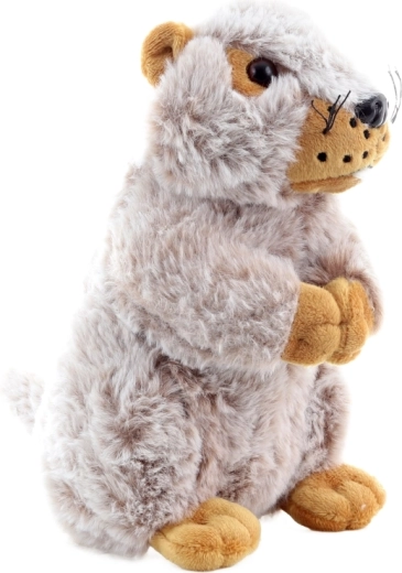 Ideaal formaat voor kinderhanden