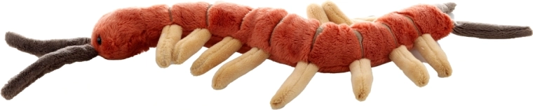 Ideal size for home and travel