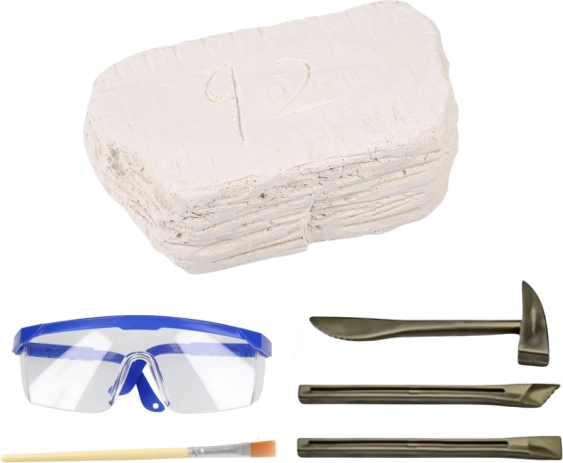 A real excavation experience