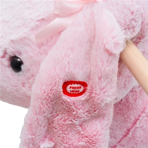 Bouton musical pour encore plus de plaisir