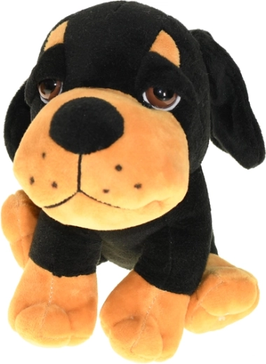 Meerdere kleuropties