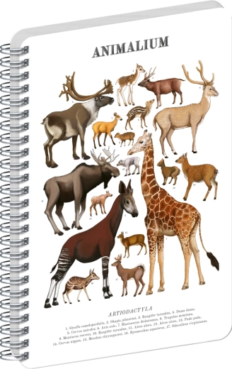 Bloc à spirale Notique Animalium – Ongulés, pages blanches, A5
