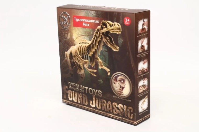 Kinderopgraafset Dino-fossiel – dinosaurusfossiel