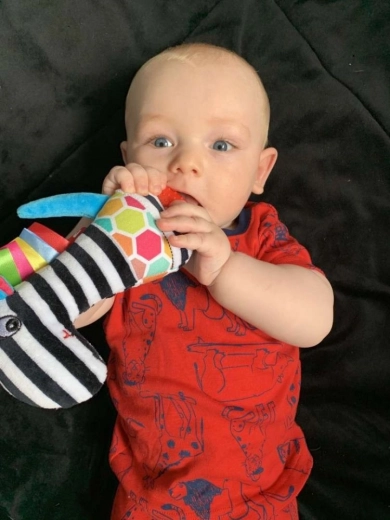 Leicht zu greifen für kleine Händchen