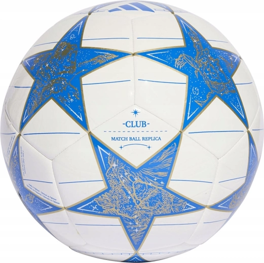 Taille 5 pour l’entraînement et les matchs loisir
