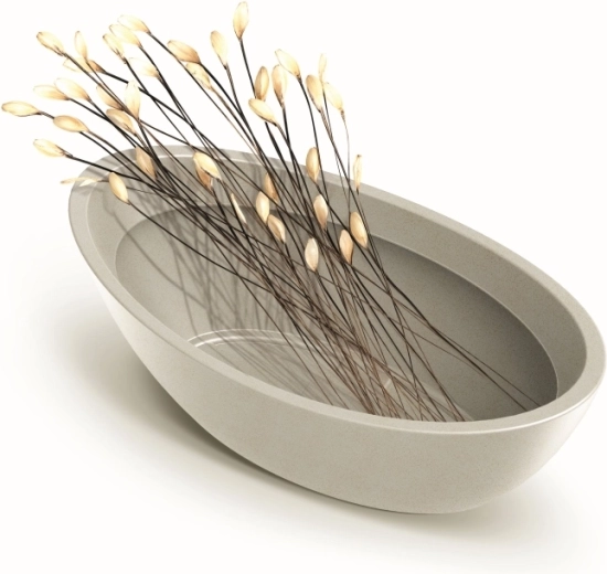 Versatile use in décor and plantings