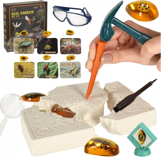 Educational Archaeological Set - Insects in BursStone