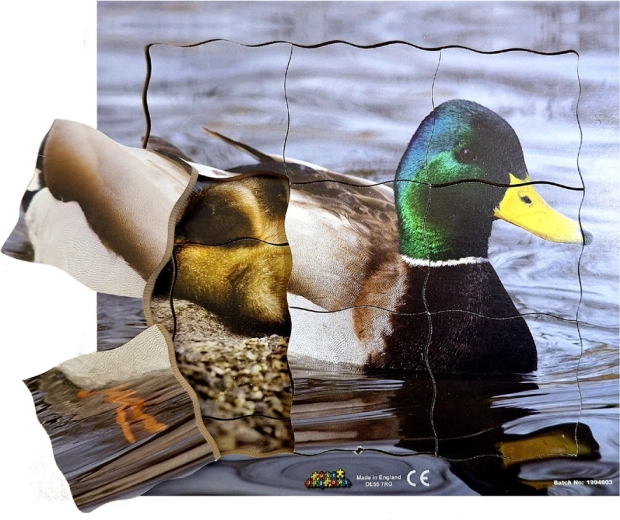 Puzzle en bois superposés Canard et son cycle de vie - 19 pièces