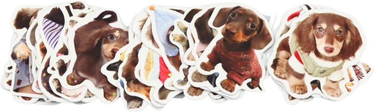 50 spaniel designs in one set