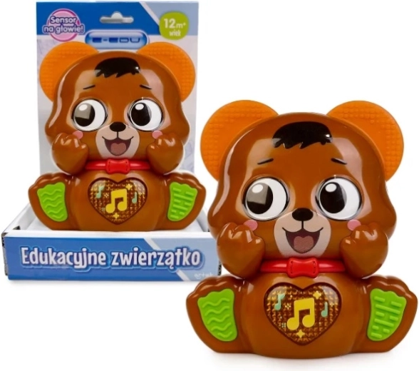 E-edu Musical Teddy Bear