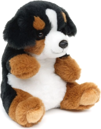 Veilig vanaf de geboorte