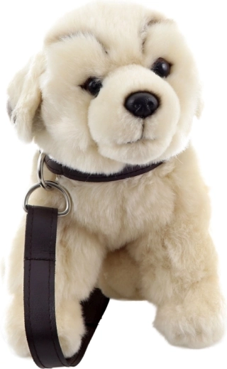 Walk-play thanks to collar and leash