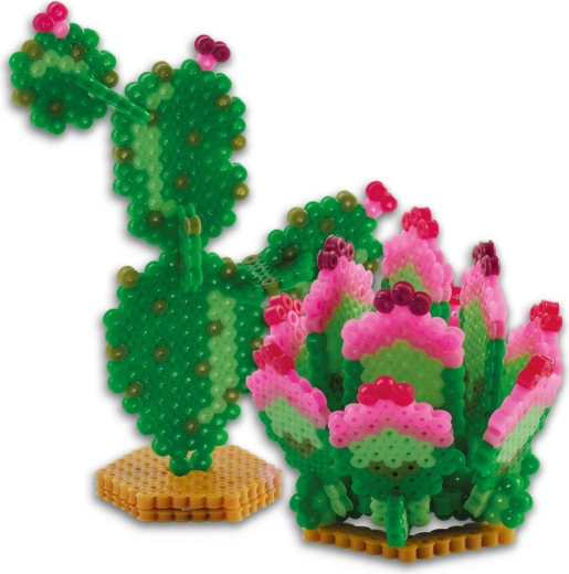 3D effect for striking cacti and succulents