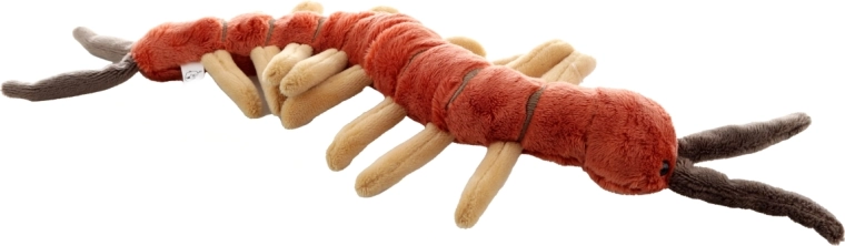 Realistic details that fascinate