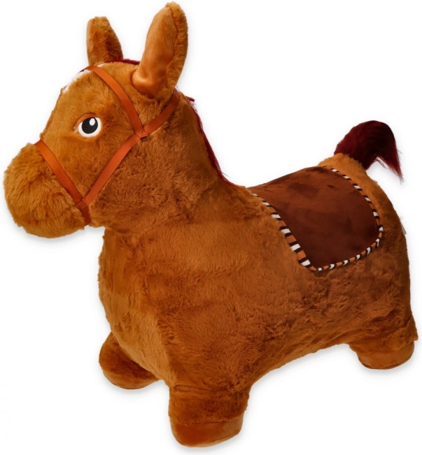 Springpaard met hoes en pompje