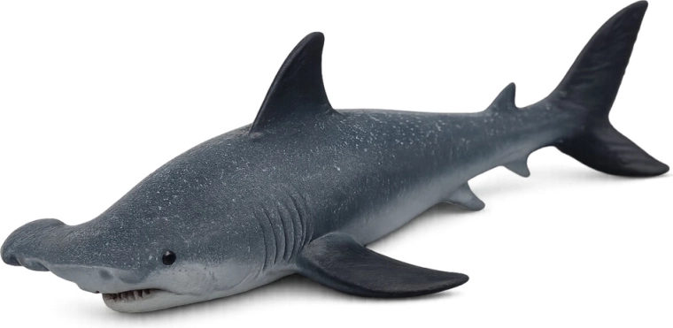 Détails réalistes du requin-marteau