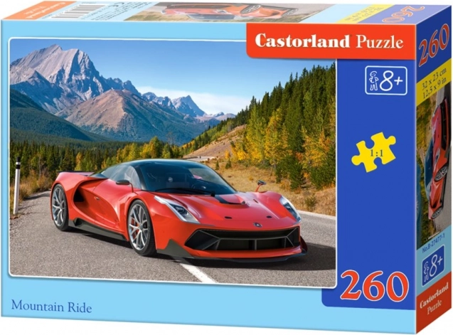 Puzzel Bergtocht