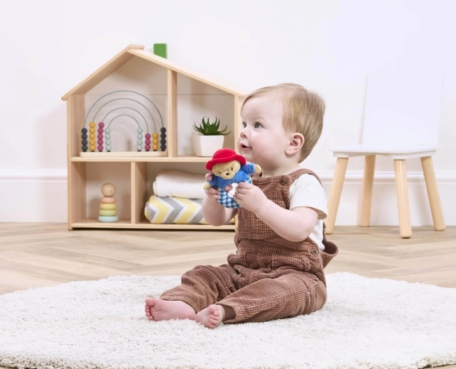 Populair personage PADDINGTON