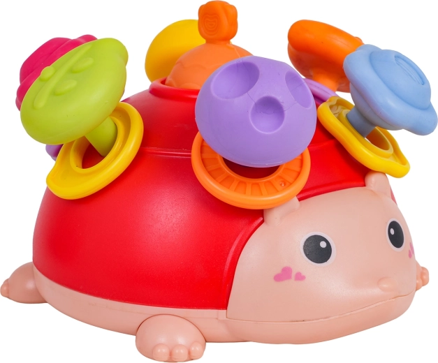 Rammelringen en leuk sorteren/plaatsen