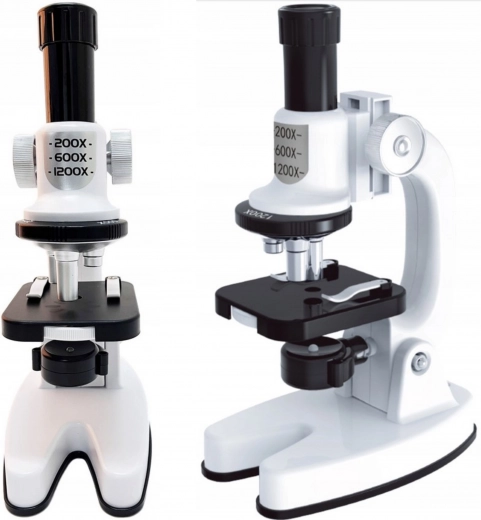 Grossissement jusqu’à 1200x et éclairage LED
