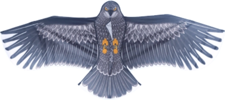 Realistisch adelaarsdesign