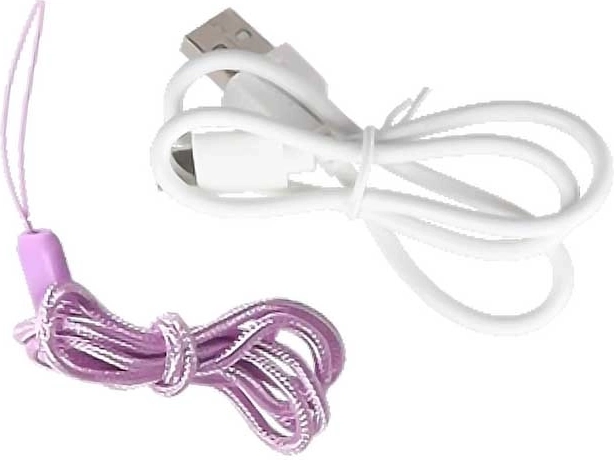 USB‑C cable and neck lanyard included