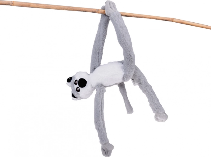 A lemur that “climbs” and hangs like in nature