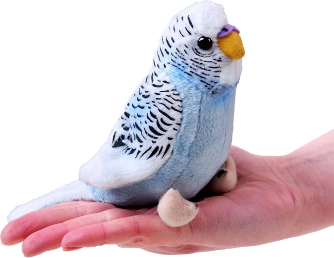 Practical hand-sized design