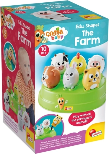Ideal first educational toy (10m+)