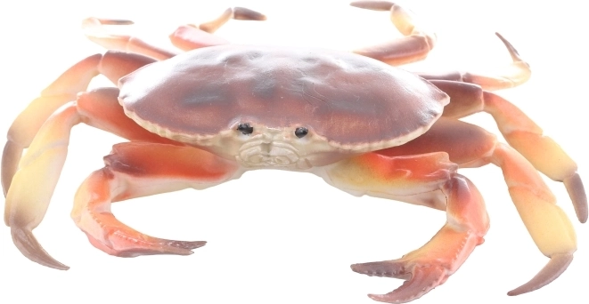 Dimensions compactes et rangement facile